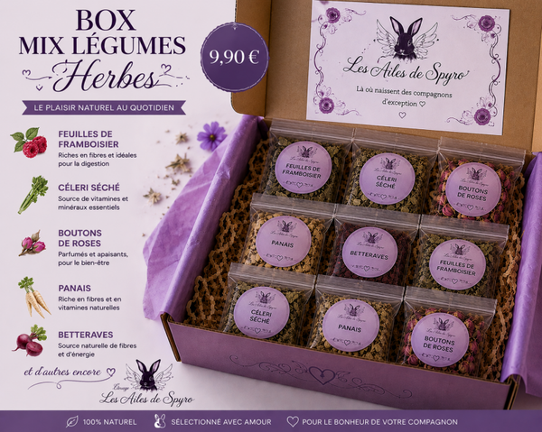 BOX DECOUVERTE GOURMANDE