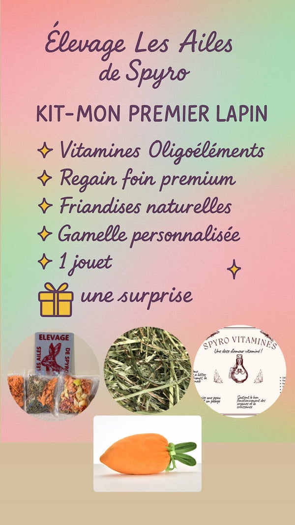 KIT MON PREMIER LAPIN