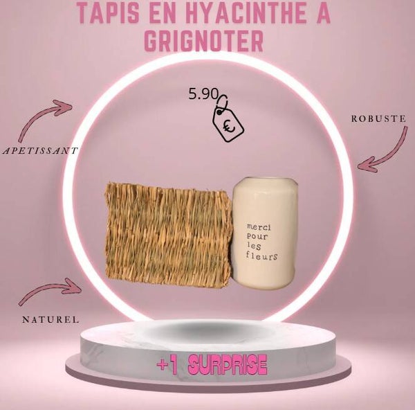 tapis en hyacinthe a grignoter
