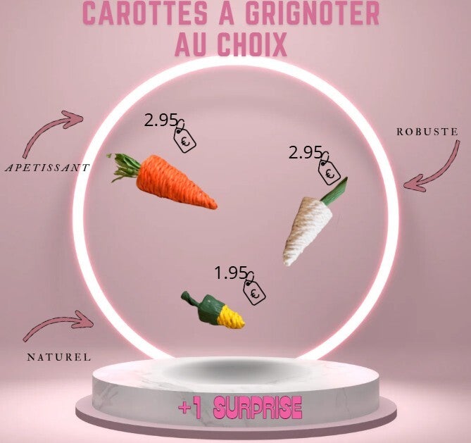 carottes a grignotter aux choix