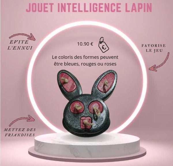 JEU INTELLIGENCE LAPIN