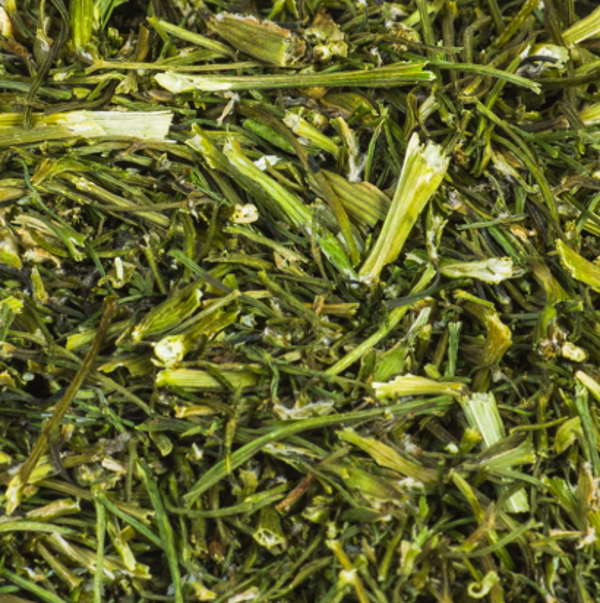 FRIANDISE TIGE DE CORIANDRE