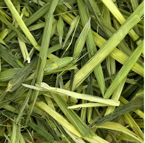 FRIANDISE AVOINE