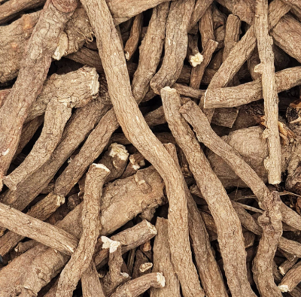 FRIANDISE RACINE DE PISSENLIT