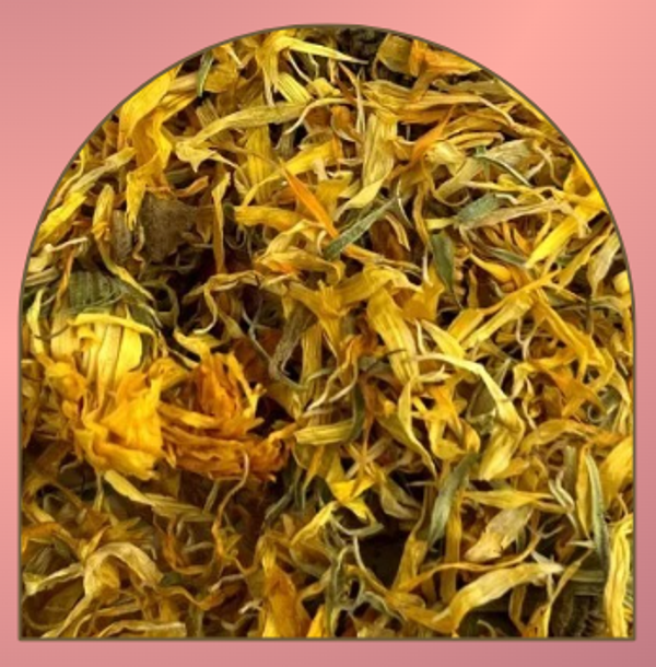 FLEUR DE SOUCI SECHEE
