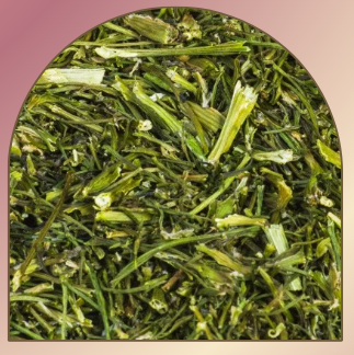 FRIANDISE TIGE DE CORIANDRE