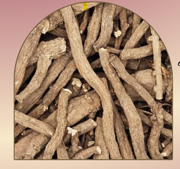 FRIANDISE RACINE DE PISSENLIT