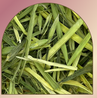 FRIANDISE AVOINE