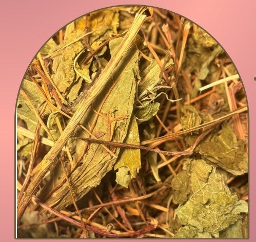 ECHINACEA - DEFENSES IMMUNITAIRE -