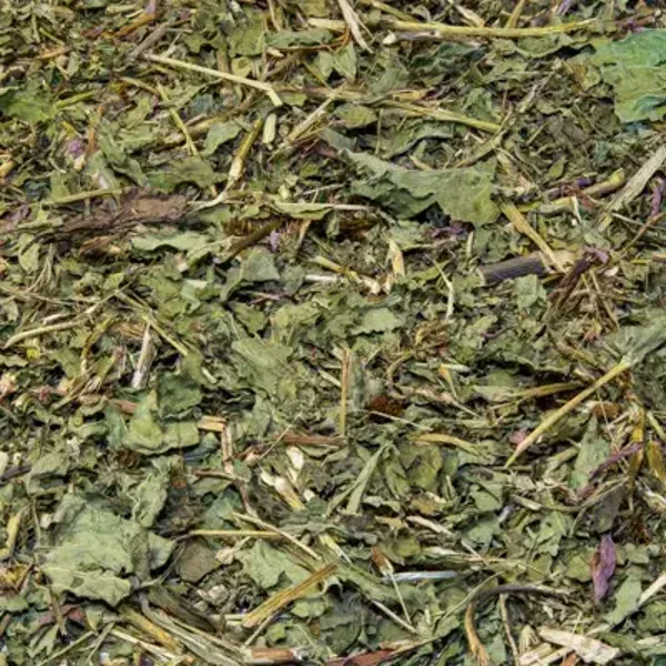 ECHINACEA - DEFENSES IMMUNITAIRE -