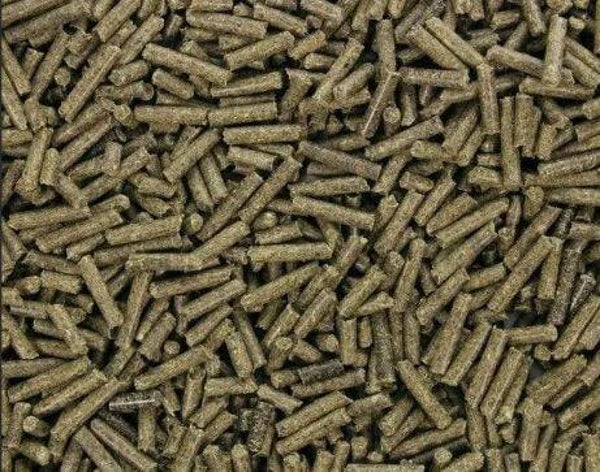 Granulés lapins et cochons d'indes