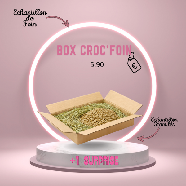 BOX DECOUVERTE CROC FOIN