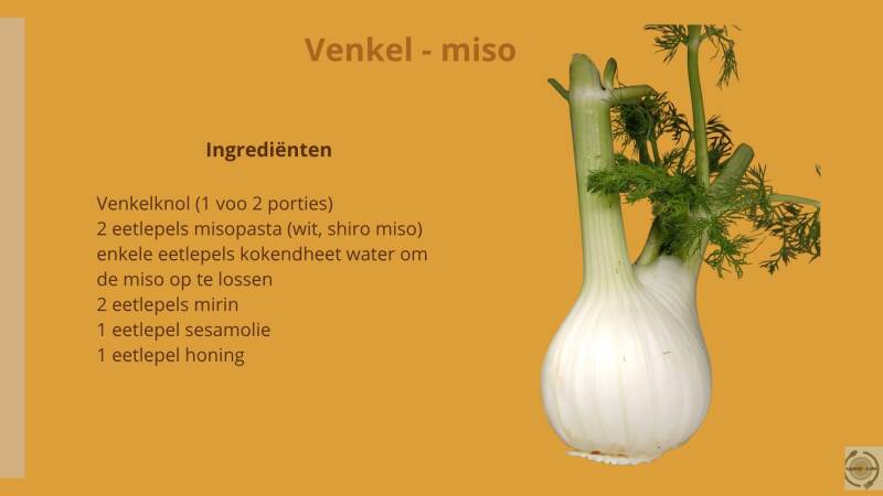 Venkel - miso  ingrediënten