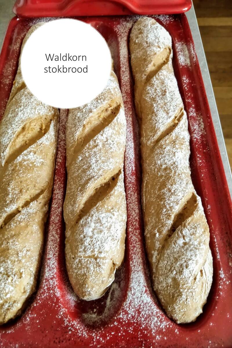 Waldkorn stokbrood deeg
