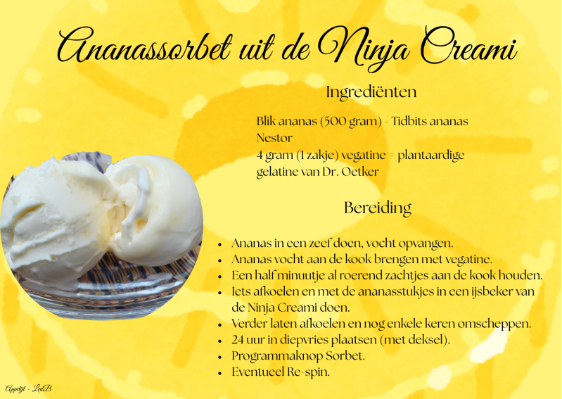 Recept Ananassorbet uit de Ninja Creami