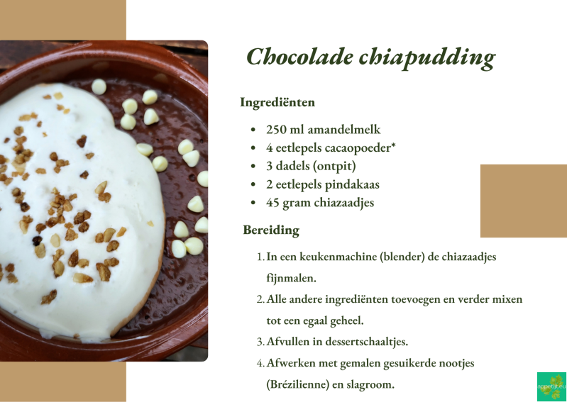 Chocolade chiapudding
