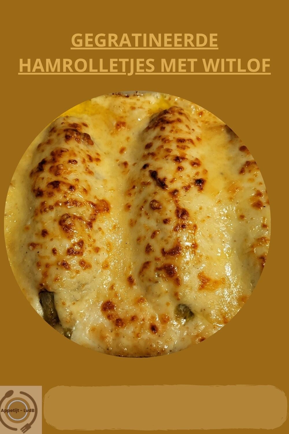Gegratineerde hamrolletjes met witlof