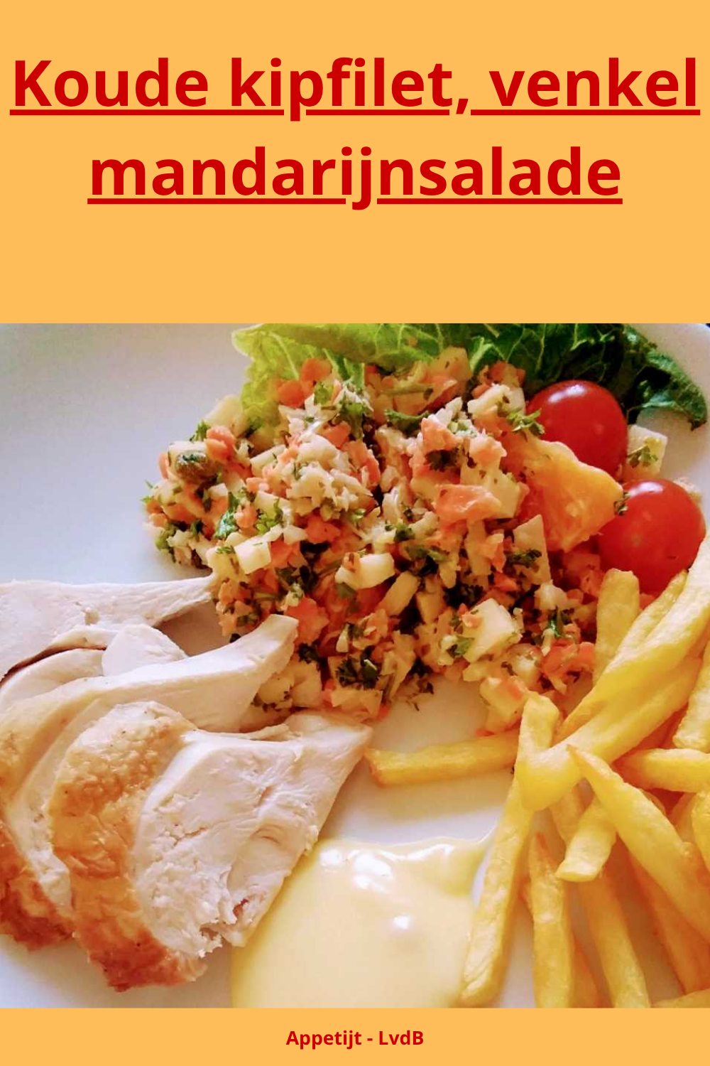 Koude kipfilet, venkel mandarijnsalade