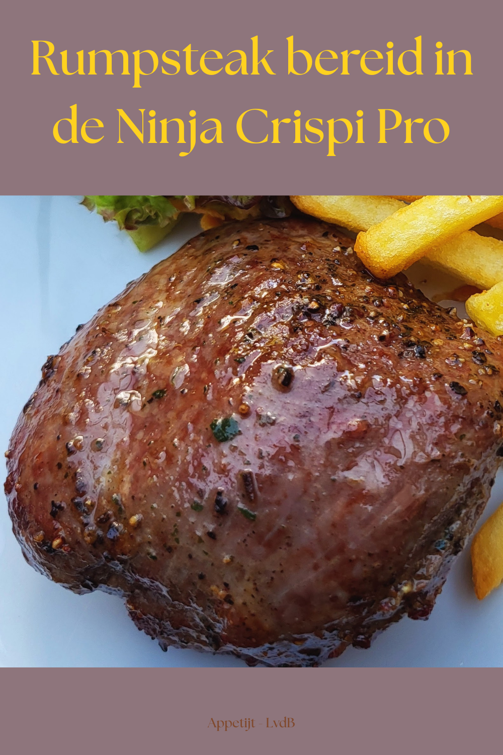 Rumpsteak bereid in de Nina Crispi Pro