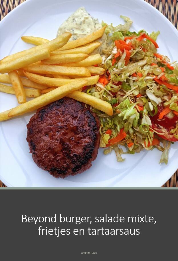 Beyond burger, salade mixte, frietjes en tartaarsaus