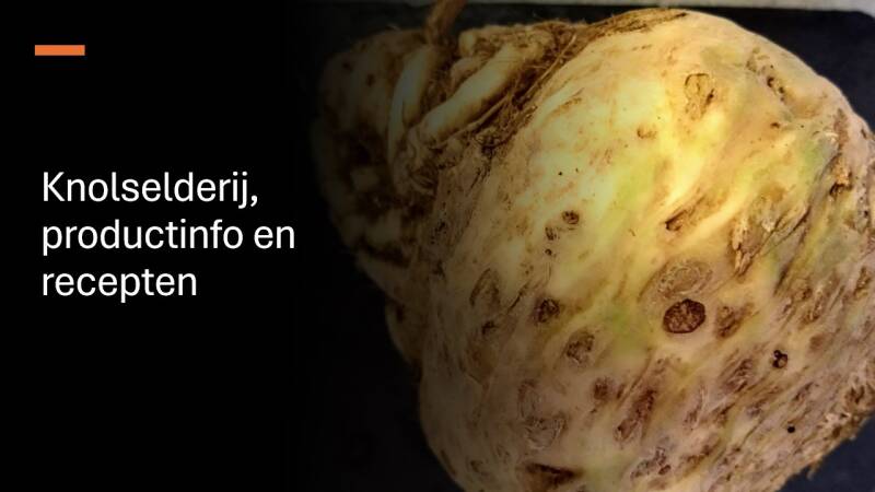 Knolselderij, productinfo en recepten