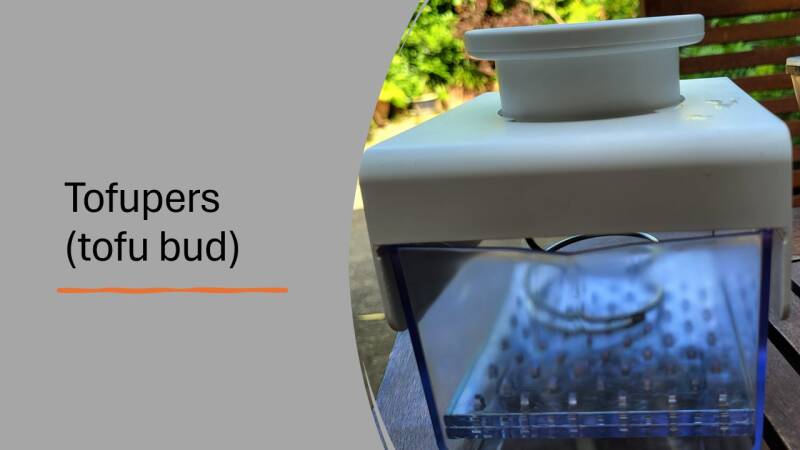 Tofu pers (tofu bud)