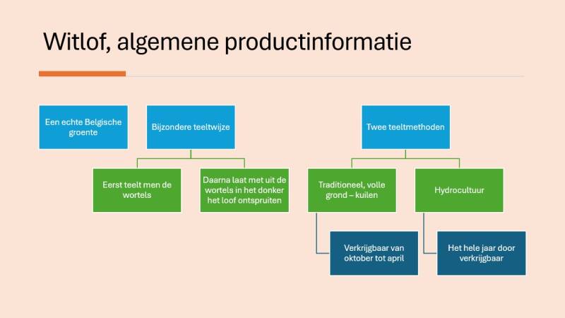 Witlof, algemene productinformatie