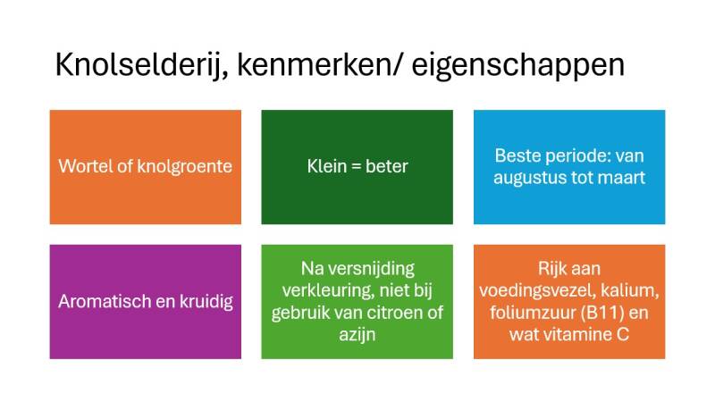 Knolselderij, kenmerken en eigenschappen