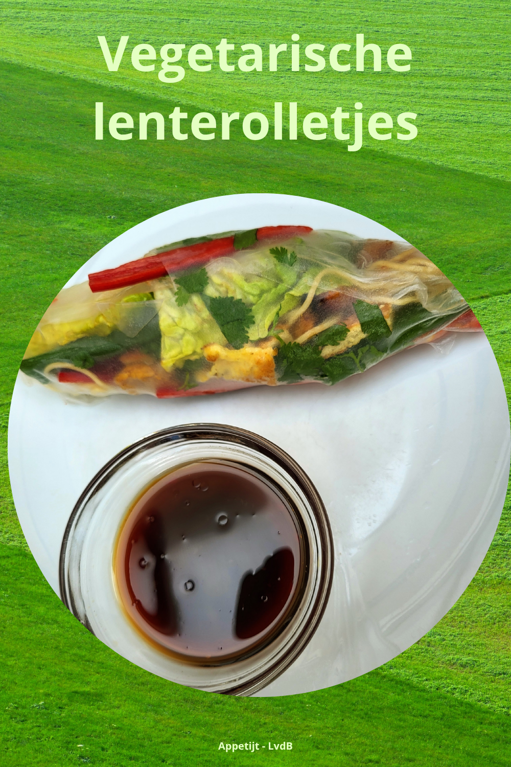 Vegetarische lenterolletjes