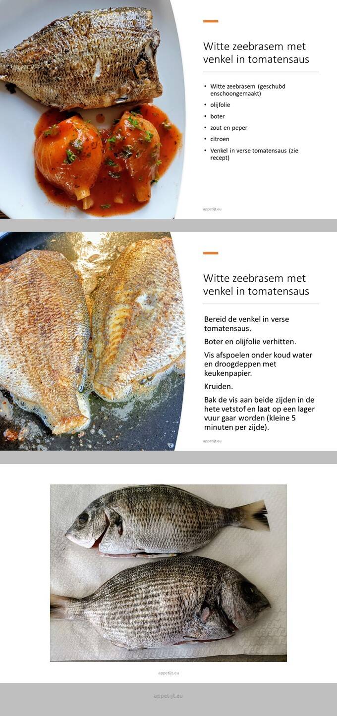 Witte zeebrasem met venkel in verse tomatensaus