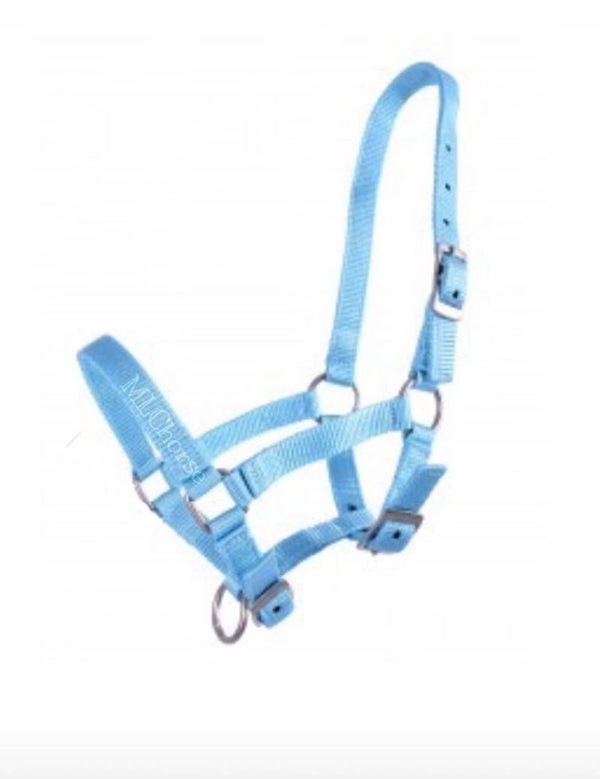 Blue filly halster