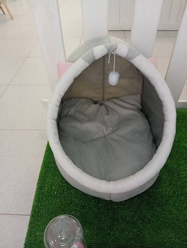 CAMA PARA GATOS