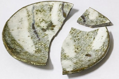 broken plate