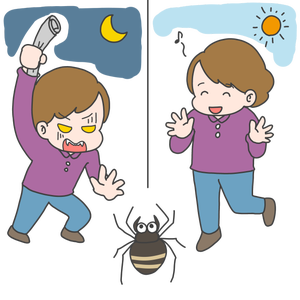 morning spiders and night spider