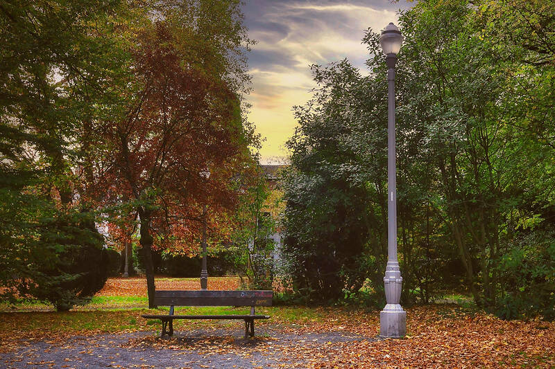 Parc Warocqué, La Louvière