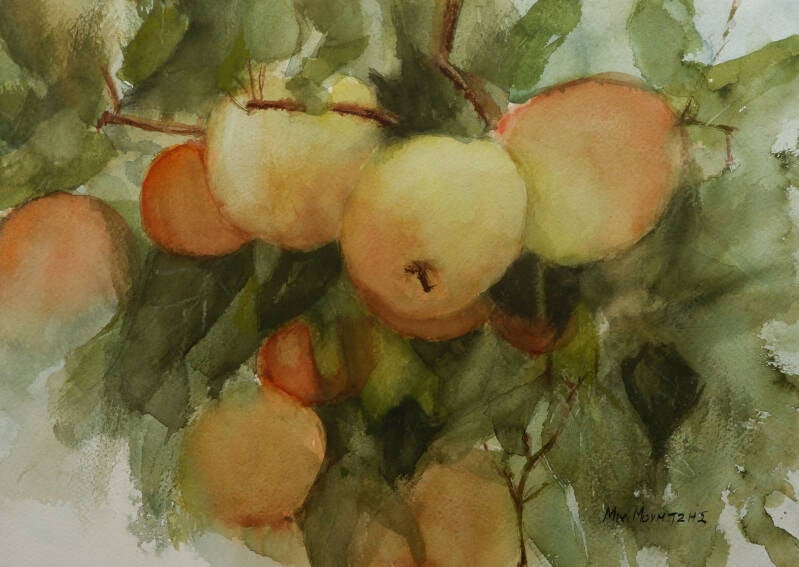 Apples, 26x36