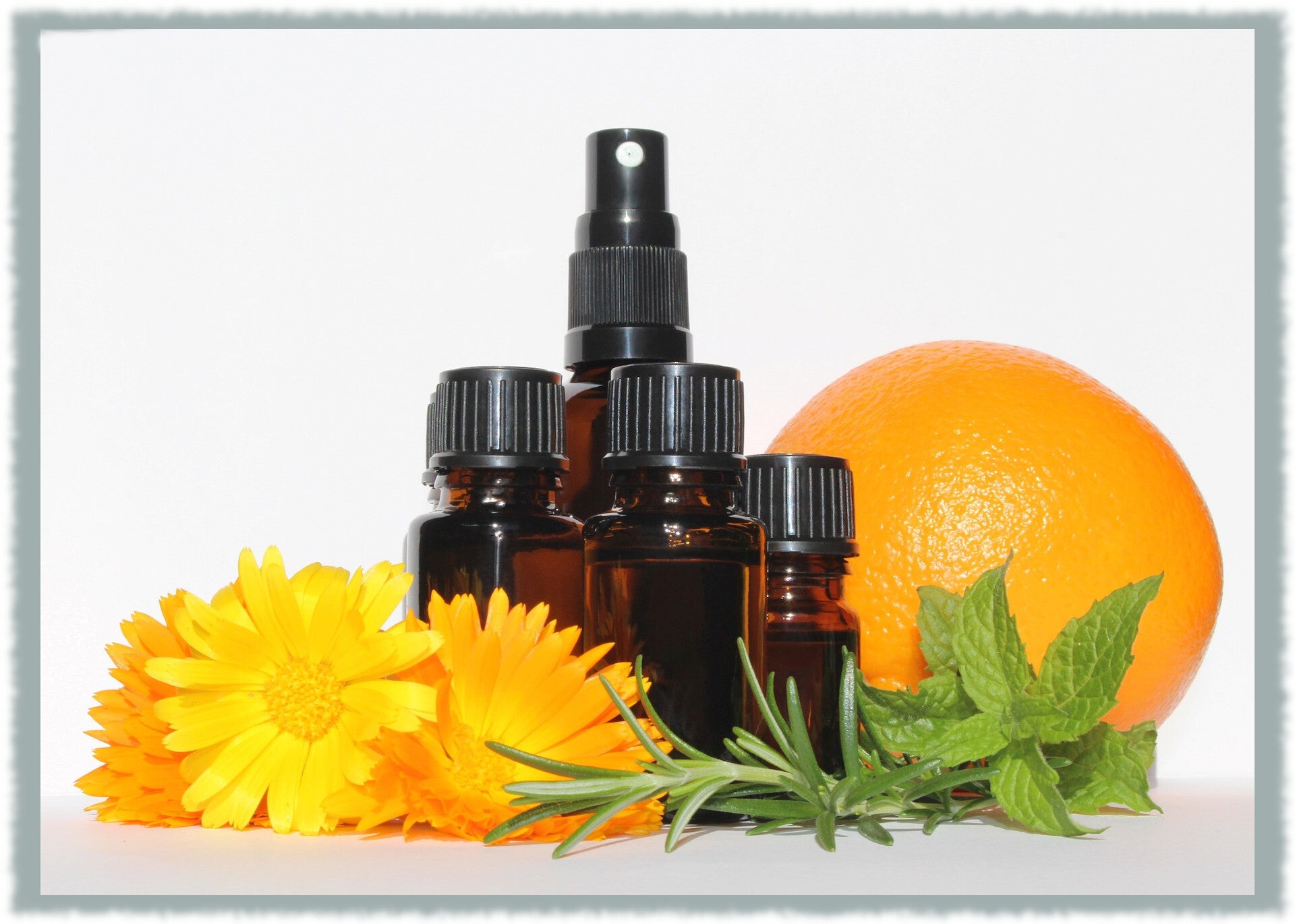 Etherische olie, basisolie en hydrolaten - botanische balans