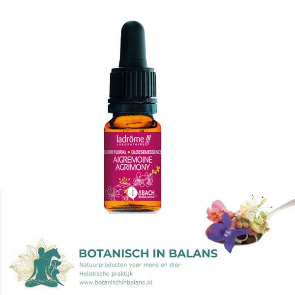 Bachbloesem Agrimonie - Agrimony 1 - LaDrôme bio