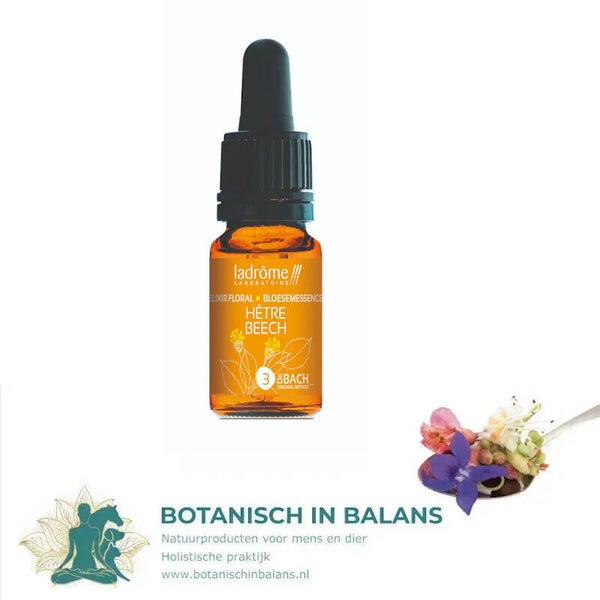 Bachbloesem Beuk 3 - LaDrôme bio