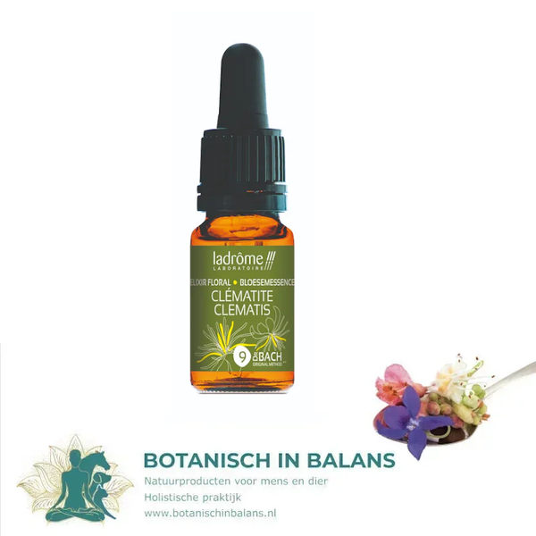 Bachbloesem Bosrank 9 - LaDrôme bio