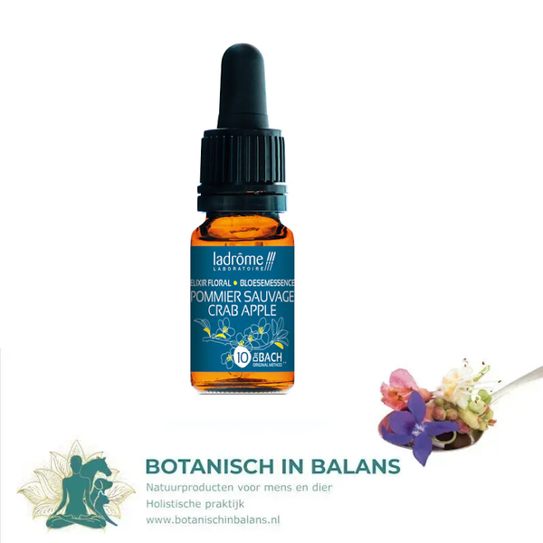 Bachbloesem Appelboom 10 - LaDrôme bio