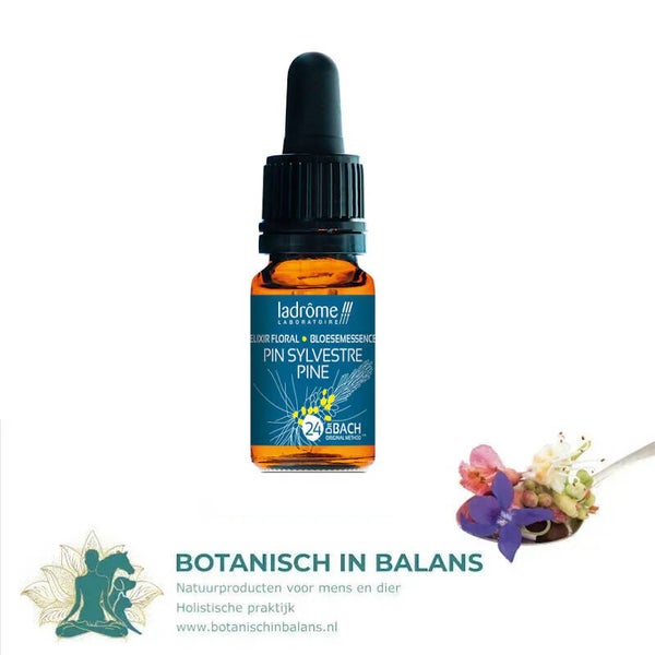 Den 24 bachbloesem - LaDrôme bio