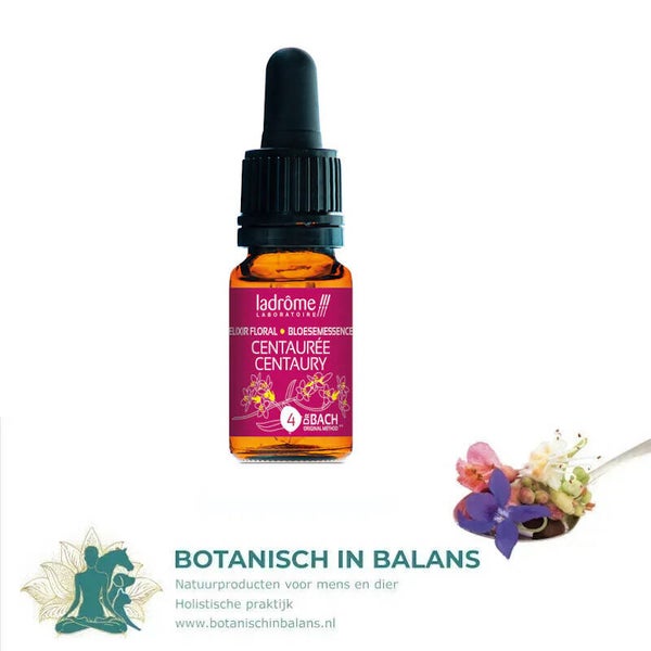 Bachbloesem Duizendguldenkruid 4 - LaDrôme bio