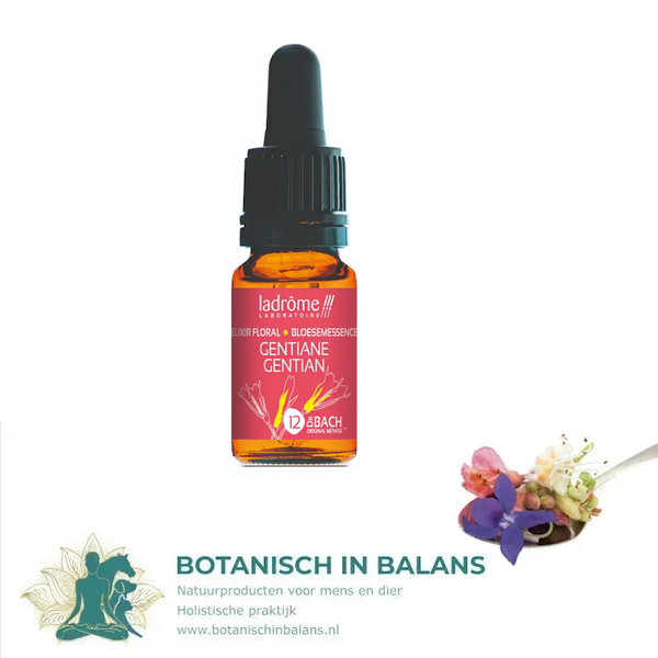 Bachbloesem Gentiaan 12 - LaDrôme bio