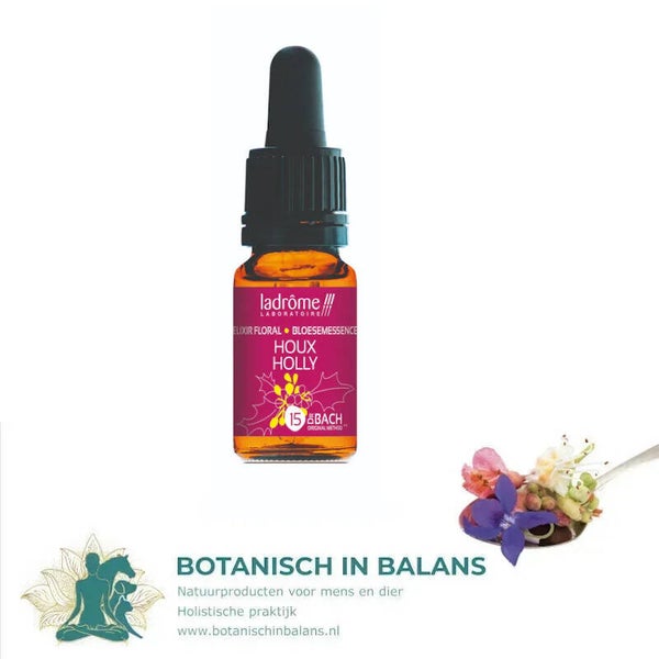 Hulst 15 bachbloesem - LaDrôme bio