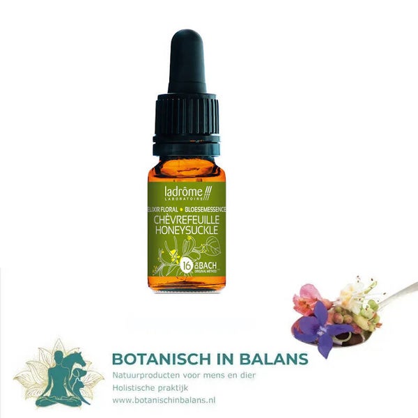 Kamperfoelie 16 bachbloesem - LaDrôme bio