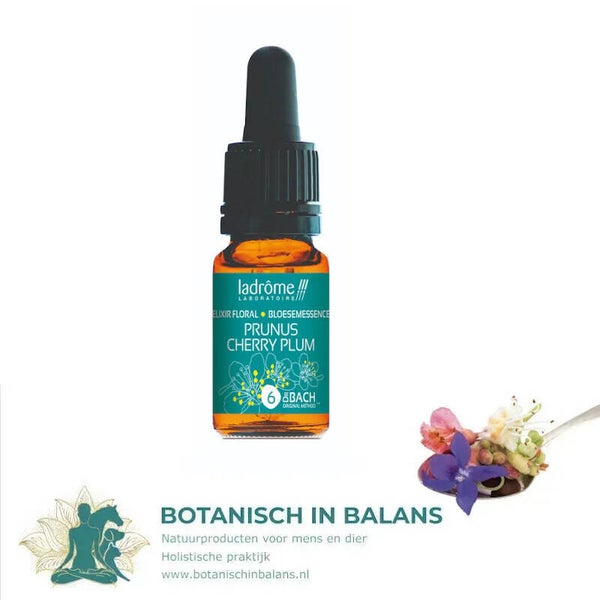 Bachbloesem Kerspruim 6 - LaDrôme bio