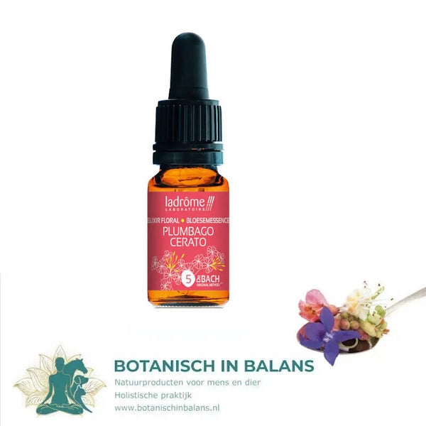 Bachbloesem Loodkruid 5 - LaDrôme bio