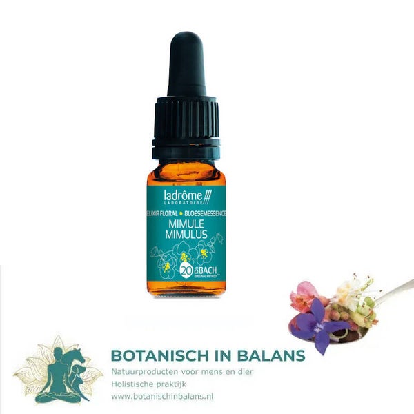 Maskerbloem 20 bachbloesem - LaDrôme bio