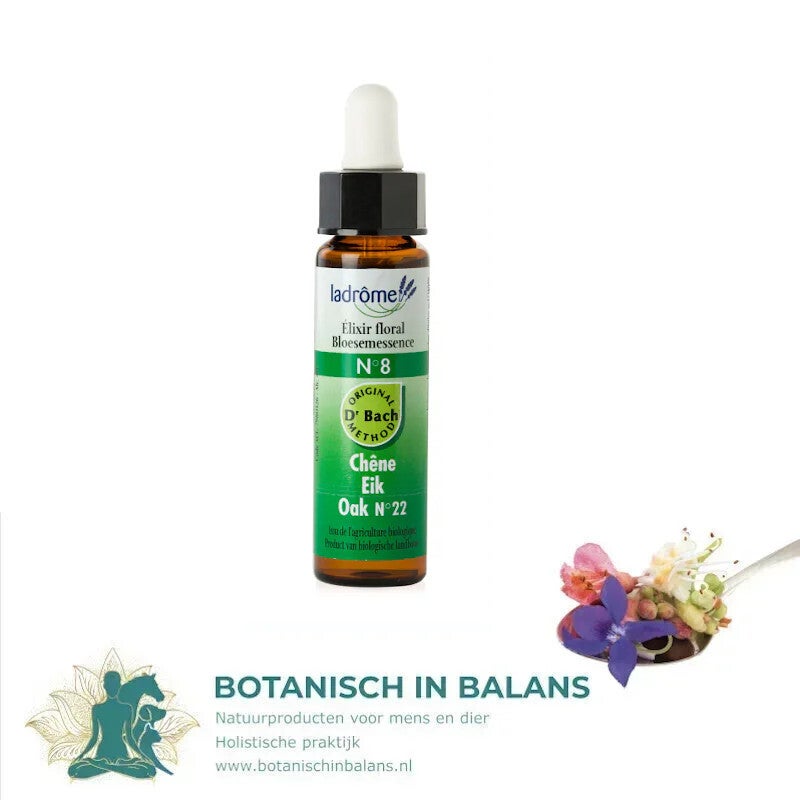 Ladrome Eik - Oak bachbloesem no 8 bio